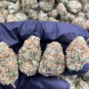 import placeholder for 9754