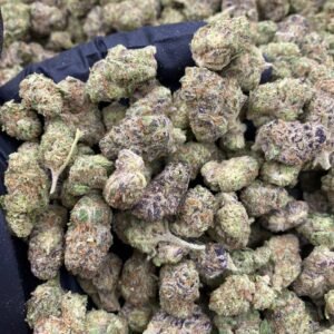 import placeholder for 9596