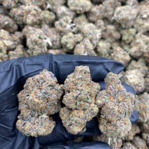 import placeholder for 9566