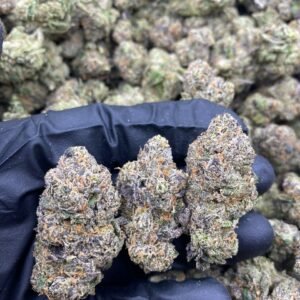 import placeholder for 9693