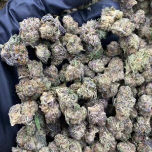 import placeholder for 9681