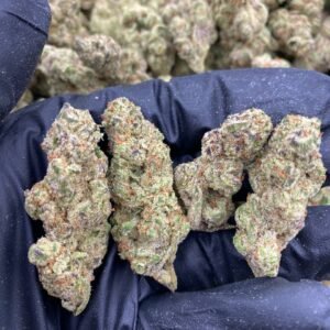 import placeholder for 9760