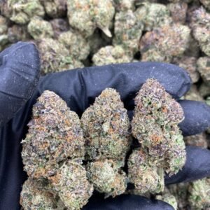 import placeholder for 9796