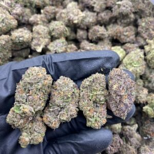 import placeholder for 9333