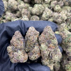 import placeholder for 9802