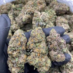 import placeholder for 9527