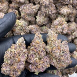 import placeholder for 9515