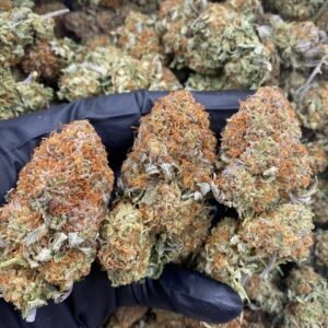 import placeholder for 9711