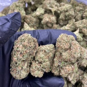 import placeholder for 9820