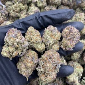 import placeholder for 9315