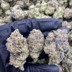 import placeholder for 9355