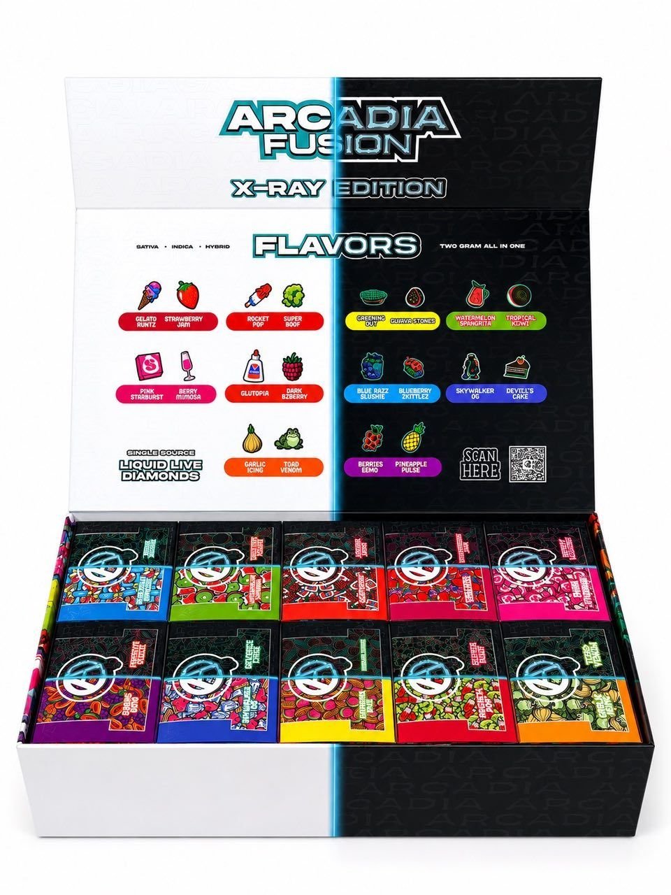 Arcadia Fusion X-Ray Edition 3 Arcadia Fusion X-Ray Edition - Image 3